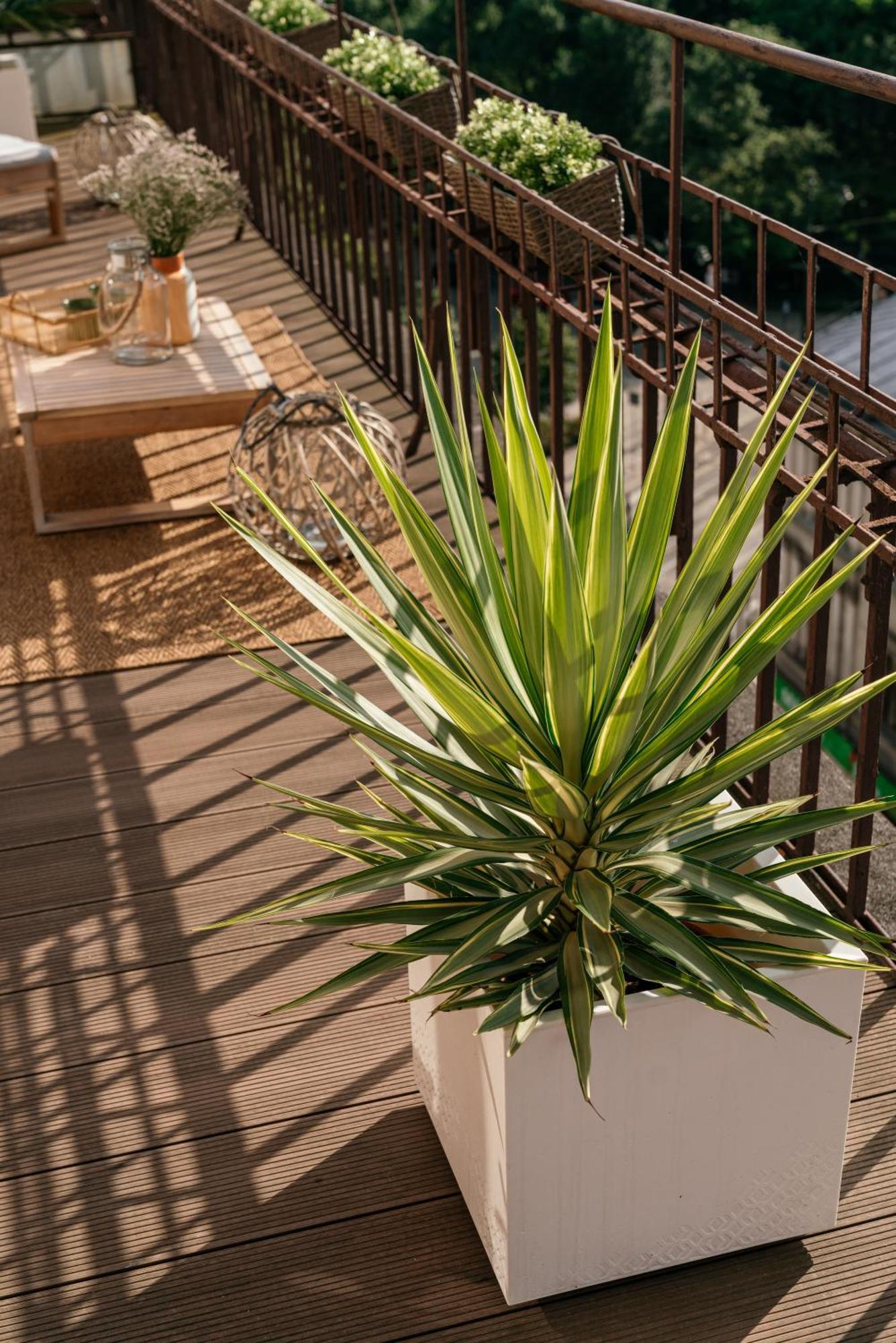 克拉科夫Penthouse Panorama - Loftaffair公寓 外观 照片